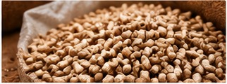 Granulés de bois pellets